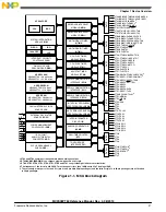 Preview for 37 page of Freescale Semiconductor MC9S08PT60 Reference Manual