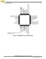 Preview for 44 page of Freescale Semiconductor MC9S08PT60 Reference Manual