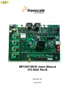 Freescale Semiconductor MPC5675EVB User Manual preview