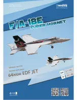 Freewing F/A-18E Super Hornet FJ1071 User Manual preview