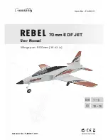 Freewing REBEL FJ20311 User Manual preview