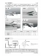 Preview for 17 page of Freewing REBEL FJ20311 User Manual