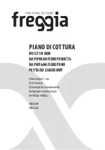 Freggia HB302 User Manual preview