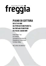 Freggia HC320V User Manual preview