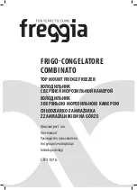 Freggia LTF31076 User Manual preview