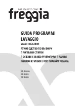 Freggia WDIE Series Manual preview