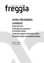 Freggia WTIE127 Manual preview