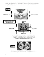 Предварительный просмотр 52 страницы Friendly Robotics RL550 Operating Manual