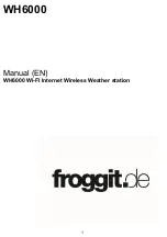 Froggit WH6000 Manual preview