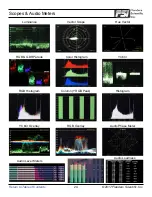 Предварительный просмотр 24 страницы FSI DM Series User Manual