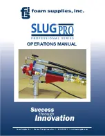 FSI PROFESSIONAL Series Operation Manual preview