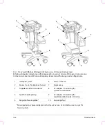 Preview for 168 page of FujiFilm SonoSite Edge Stand User Manual