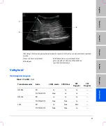 Предварительный просмотр 93 страницы FujiFilm SonoSite S Series User Manual Supplement