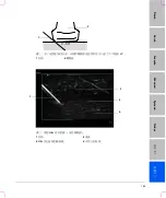Предварительный просмотр 191 страницы FujiFilm SonoSite S Series User Manual Supplement