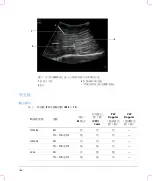 Предварительный просмотр 192 страницы FujiFilm SonoSite S Series User Manual Supplement