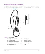 Preview for 13 page of FujiFilm SonoSite TEExp User Manual