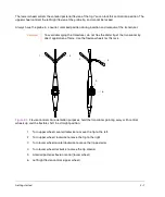 Preview for 15 page of FujiFilm SonoSite TEExp User Manual