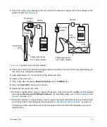 Preview for 31 page of FujiFilm SonoSite TEExp User Manual