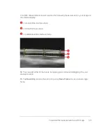 Preview for 311 page of FujiFilm VisualSonics Vevo MD User Manual