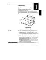 Предварительный просмотр 19 страницы Fujitsu DL3700 Pro User Manual