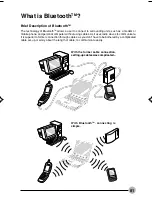 Preview for 99 page of Fujitsu LifeBook C6659 Manual