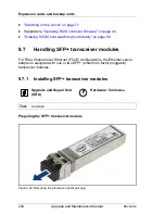 Предварительный просмотр 234 страницы Fujitsu PRIMERGY RX300 S8 Upgrade And Maintenance Manual