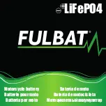 Fulbat LiFePO4 Instruction Manual preview