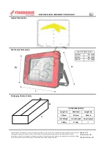 Preview for 3 page of Fulham FIREHORSE FHS2-20WFL-20W Manual