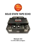 Preview for 1 page of Fulltone CS-SSTE v2 Manual