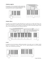 Preview for 17 page of Funkey DP-49 User Manual