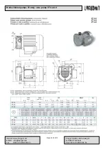 Предварительный просмотр 1 страницы Fürgut VT4.2 Manual