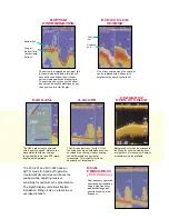 Preview for 3 page of Furuno Color Video Sounder FCV-291/292 Specifications