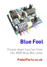 FuzzDog Blue Fool Manual предпросмотр