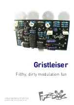 Предварительный просмотр 1 страницы FuzzDog Gristleiser Manual