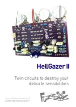 FuzzDog HellGazer II Quick Start Manual preview