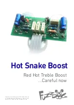 Preview for 1 page of FuzzDog Hot Snake Boost Manual