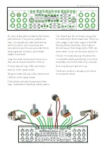 Preview for 3 page of FuzzDog L'il Louie Manual