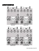 Предварительный просмотр 2 страницы Fuzzrocious pedals CAT TAIL Manual