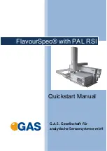 Предварительный просмотр 1 страницы G.A.S FlavourSpec Quick Start Manual