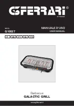 G3 Ferrari G10027 User Manual preview