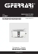 G3 Ferrari G10067 User Manual preview