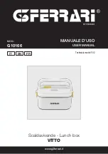 G3 Ferrari G10166 User Manual preview