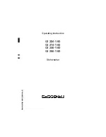 Gaggenau GI 256-160 Operating Instructions Manual preview