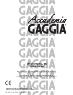 Gaggia Accademia Quick Start Manual preview