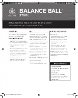 Gaiam BALANCE BALL 05-62549 Setup, Workout Tips And Care & Safety Manual предпросмотр