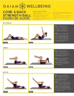 Gaiam Wellbeing Core & Back Strength Ball Exercise Manual предпросмотр