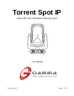 Gamma Torrent Spot IP User Manual предпросмотр