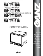 Ganz ZM-TY110A Instruction Manual preview