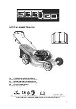 Preview for 1 page of Gardeo GTDTAL58HP5TBS-CM Original Instructions Manual