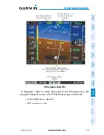 Предварительный просмотр 231 страницы Garmin G300 for Cessna SkyCatcher Pilot'S Manual